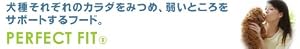 �p�[�t�F�N�g�t�B�b�g �g�C�v�[�h����p �����p