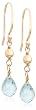 10k Yellow Gold Aquamarine Earrings