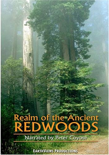 Realm of the Ancient Redwoods