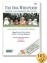 The Dog Whisperer: Beginning and Intermediate Dog Training