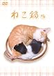 ねこ鍋