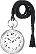 SEIKO (セイコー) 鉄道時計 SVBR001