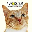 PUNK IT!GREATEST HITS!DELUXE!(DVD付)