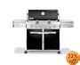 Weber 1751001 Summit E-620 Propane Gas Grill, Black