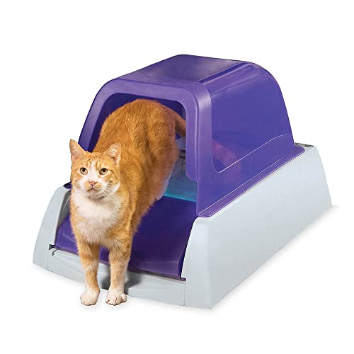 automatic litter box