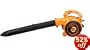 Poulan Pro BVM200VS 25cc 2-Cycle Variable Speed Gas Powered 200 MPH Blower/Vac With 10 to 1 Mulch Ratio