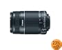 Canon EF-S 55-250mm f/4.0-5.6 IS Telephoto Zoom Lens for Canon Digital SLR Cameras