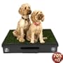 The Pet Loo Indoor Yard Pet Toilet 33 " x 33"