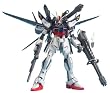 MG 1/100 ストライクE+IWSP ルカス・オドネル専用機