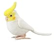 夢ことり オカメインコ(ホワイト)