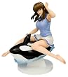 DOAX2 Venus on the beach! ヒトミ (1/6スケールPVC塗装済み完成品)