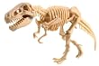 恐竜発掘セット ティラノサウルス