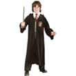 Halloween : Harry Potter costumes