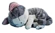 チーズスイートホーム 等身大ぬいぐるみ「猫、等身大になる。」眠り