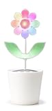 FLOWER ROCK 2.0