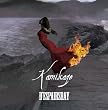 KAMIKAZE(初回限定盤)(DVD付)