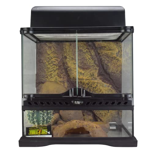 Exo Terra Desert Habitat Kit