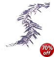 70% off selected Storm jewellery