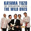 加山雄三withザ・ワイルドワンズ コンサートツアー記念アルバム 湘南 海 物語 オヤジ達の伝説