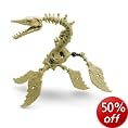 Save 50% on Selected Skeleflex