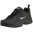 NIKE(ナイキ) T-LITE VI SL 318289003
