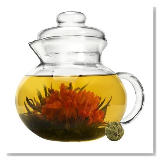 Primula Glass Stovetop Tea Pot with Infuser