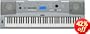 Yamaha DGX230 76 Full-Sized Piano Style Keys, 489 Instrument Voices