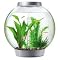 Shop for Aquarium Starter Kits