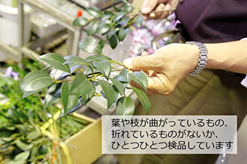 神棚に枯れないので手入れ不要で便利なシルクフラワー