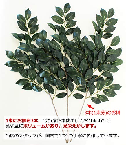 CT触媒溶液60ｍｌボトル（別売り）