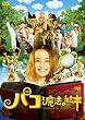 パコと魔法の絵本 通常版 [DVD]