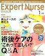 Expert Nurse (エキスパートナース) 2009年 01月号 [雑誌]