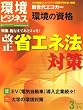 月刊「環境ビジネス」2009年3月号