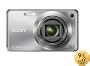 Sony Cyber-shot DSC-W290 12.1 MP Digital Camera with 5x Optical Zoom and Super Steady Shot Image Stabilization (Silver)