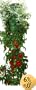 Felknor Ventures TT021112 Topsy Turvy Tomato & Herb Planter