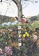 天国はまだ遠く [DVD]