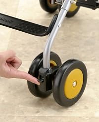 ファインアール カルネオ
