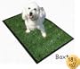 New! Ingrass Puppy Potty Bigger & Deeper Now! Free Bottle of Puppy Attraction Aid Spray 20" X 30" Indoor Outdoor