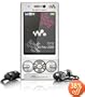 Sony Ericsson W705a Walkman Unlocked Phone with 3G, 3.2 MP, Stereo Bluetooth, and microSD (Silver)--US Version with Warranty