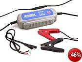 Cartrend 50132 Mikroprozessor Batterie-Ladegerät MP 3800" für 12V Batterien, mit TÜV/GS, CE, IP65