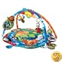 Baby Einstein Around The World Play Gym