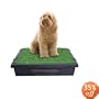 the Pet Loo Pet Toilet, Mini Wee 24-Inch by 23-Inch
