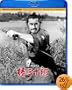 �֎O�\�Y [Blu-ray]