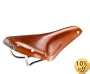 Brooks Saddles Team Professional Classic Bicycle Saddle with Tubular Rivets (Men's, Honey)
