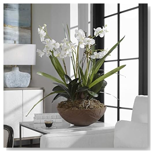 Uttermost Moth Orchid Planter Botanical