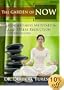 Mindfulness Meditation and Stress Reduction for Beginners: The Garden of NOW