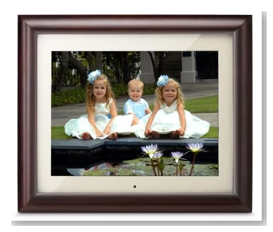 ViewSonic VFM1530-11 15-Inch 256 MB High Resolution Multimedia Digital Photo Frame (Ebony)