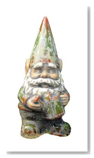 Bird Brain Tuscan Garden Gnomes, Watering Can