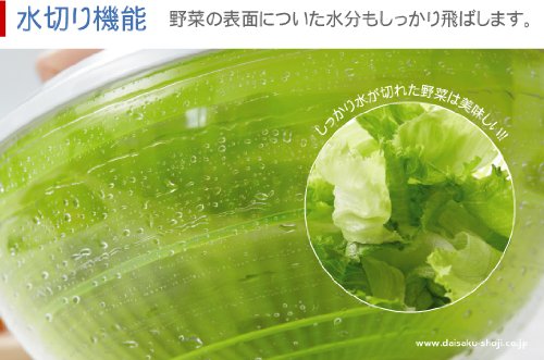 サラダスピナー Wash&Flesh 野菜水きり・流水洗い・米洗い DOSW01
