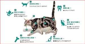ピュリナ ワン キャット シニア猫用 チキン 11歳以上1kg